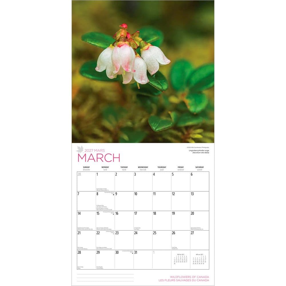 Wildflowers 2027 Wall Calendar Second Alternate Image