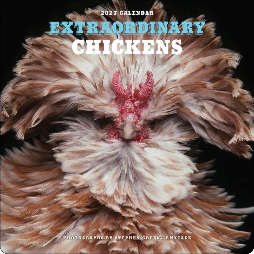 image Extraordinary Chickens 2027 Wall Calendar Main Product Image