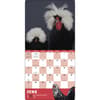 image Extraordinary Chickens 2027 Wall Calendar First Alternate Image