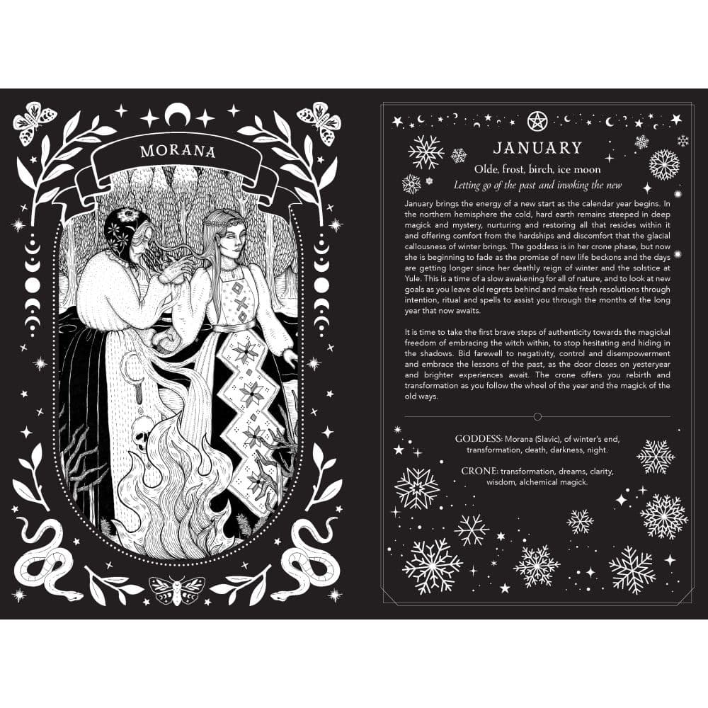 Witchs Diary and Northern Hemisphere 2027 Planner Sixth Alternate Image