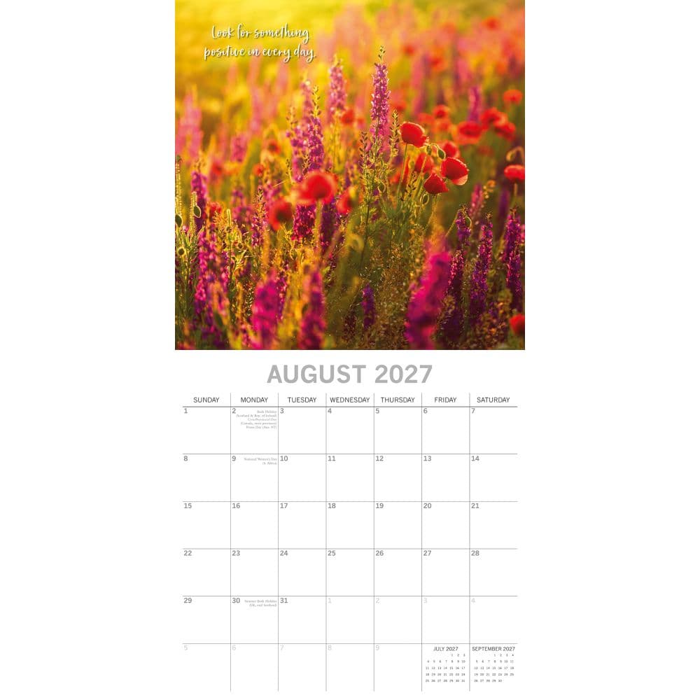 Positivity 2027 Wall Calendar Second Alternate Image