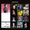 image Harry Styles 2027 Wall Calendar First Alternate Image