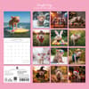 image Playful Pigs 2027 Wall Calendar First Alternate Image
