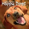 image Happy Dogs 2027 Wall Calendar Main Product Image