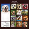 image Happy Dogs 2027 Wall Calendar First Alternate Image