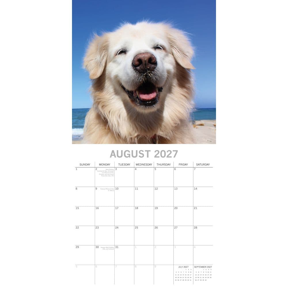 Happy Dogs 2027 Wall Calendar Second Alternate Image