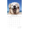 image Happy Dogs 2027 Wall Calendar Second Alternate Image