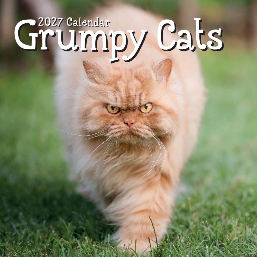 Grumpy Cats 2027 Wall Calendar Main Product Image