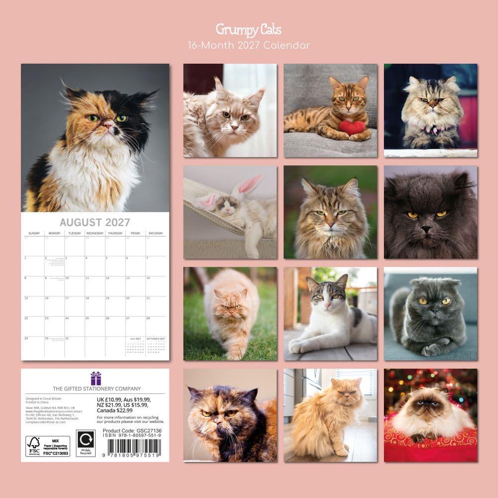 Grumpy Cats 2027 Wall Calendar First Alternate Image