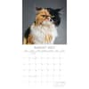 image Grumpy Cats 2027 Wall Calendar Second Alternate Image