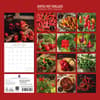 image Super Hot Chillies 2027 Wall Calendar First Alternate Image