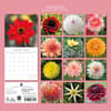 image Dahlias 2027 Wall Calendar First Alternate Image