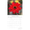 image Dahlias 2027 Wall Calendar Second Alternate Image