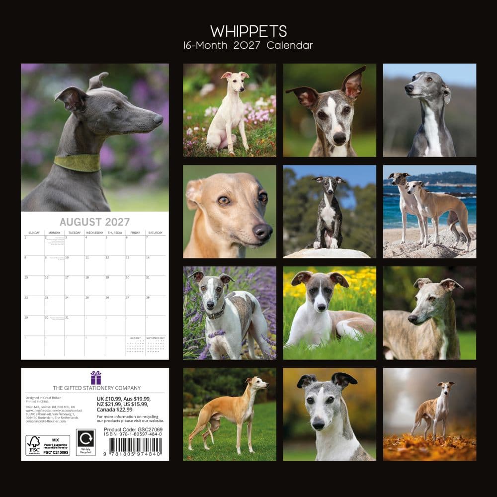 Whippets 2027 Wall Calendar First Alternate Image