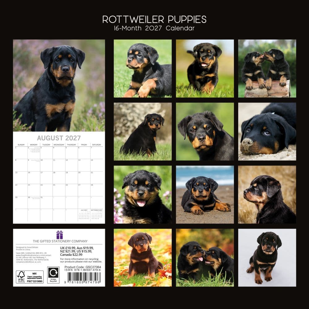 Rottweiler Puppies 2027 Wall Calendar First Alternate Image