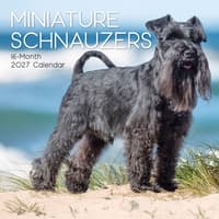 image Miniature Schnauzers 2027 Wall Calendar Main Product Image