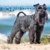 image Miniature Schnauzers 2027 Wall Calendar Main Product Image