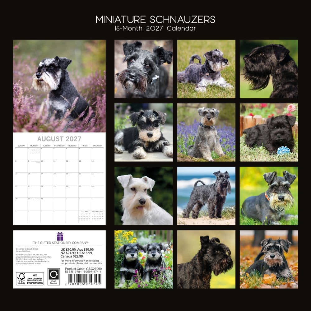 Miniature Schnauzers 2027 Wall Calendar First Alternate Image