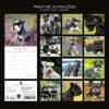 image Miniature Schnauzers 2027 Wall Calendar First Alternate Image