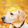 image Yellow Labs 2027 Wall Calendar Main Product Image