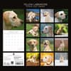 image Yellow Labs 2027 Wall Calendar First Alternate Image