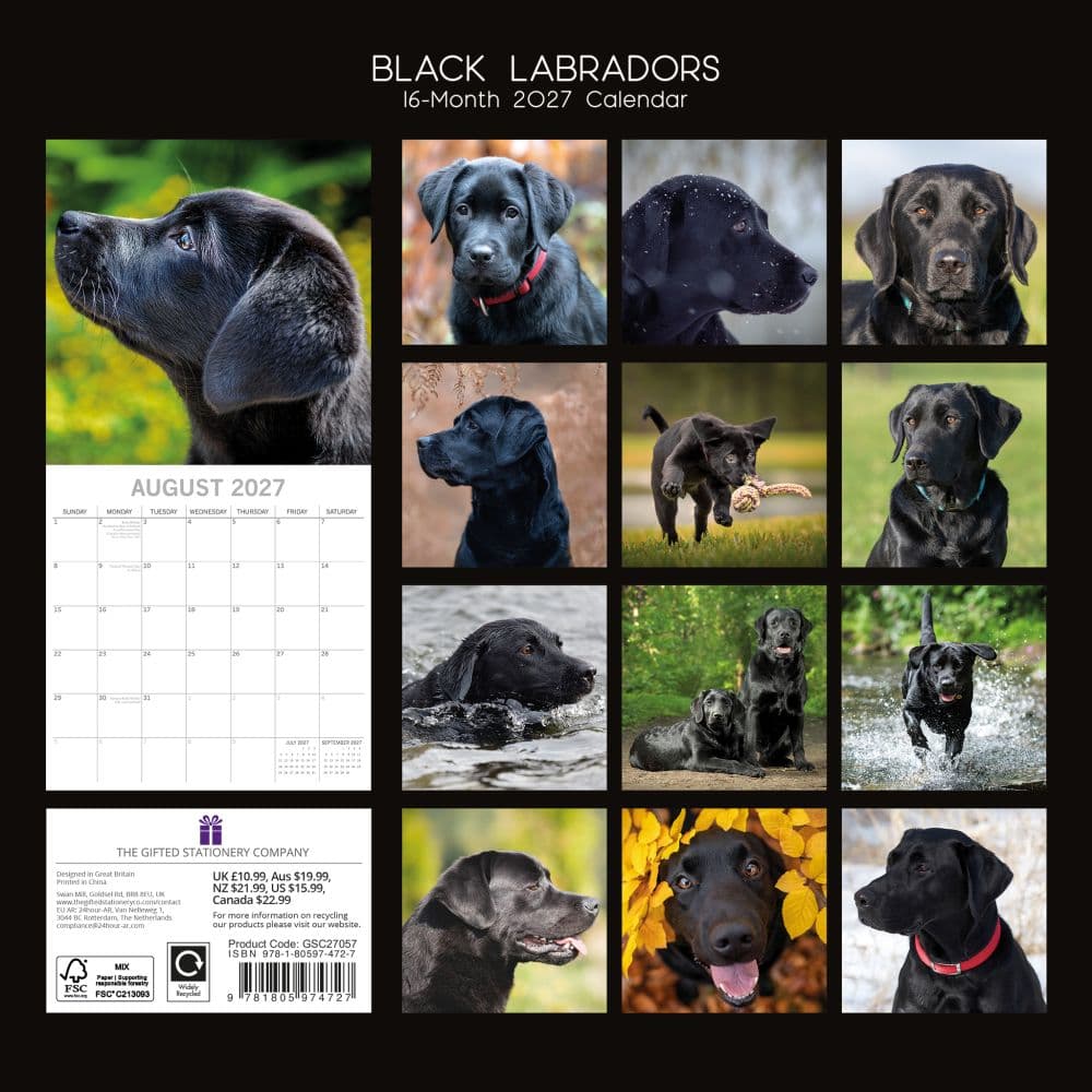 Black Labs 2027 Wall Calendar First Alternate Image