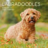 image Labradoodles 2027 Wall Calendar Main Product Image