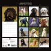 image Labradoodles 2027 Wall Calendar First Alternate Image