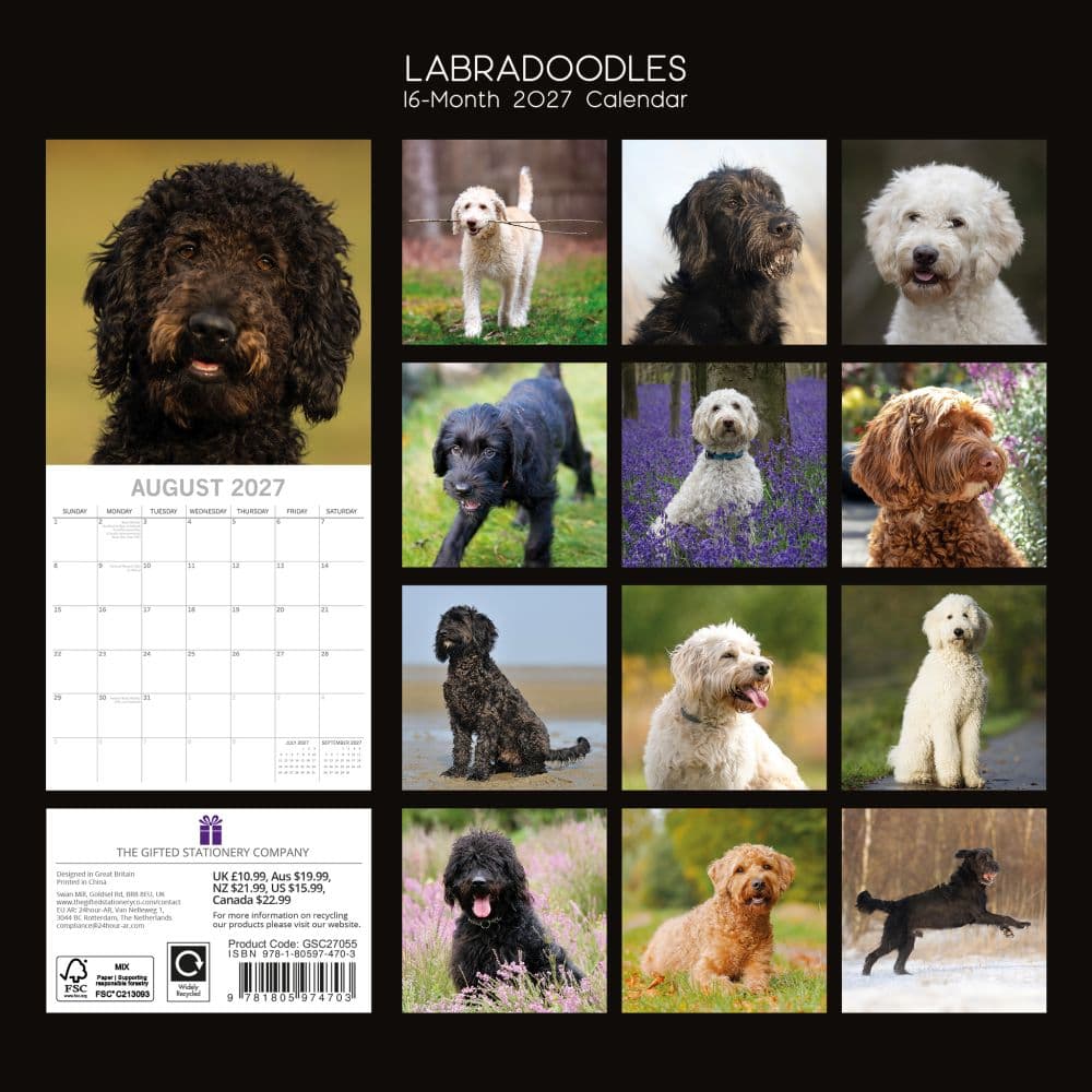 Labradoodles 2027 Wall Calendar First Alternate Image