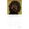 image Labradoodles 2027 Wall Calendar Second Alternate Image