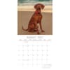 image Hungarian Vizslas 2027 Wall Calendar Second Alternate Image