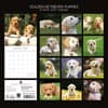image Golden Retriever Puppies 2027 Wall Calendar First Alternate Image