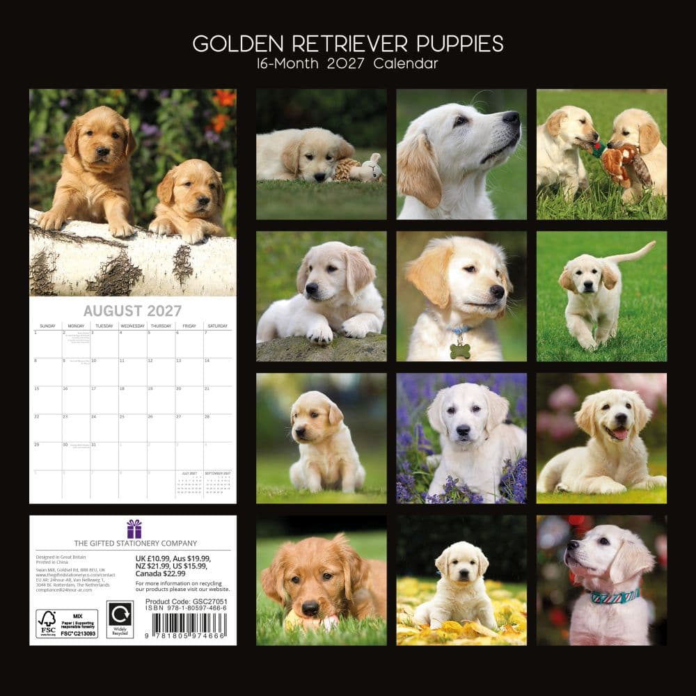 Golden Retriever Puppies 2027 Wall Calendar First Alternate Image
