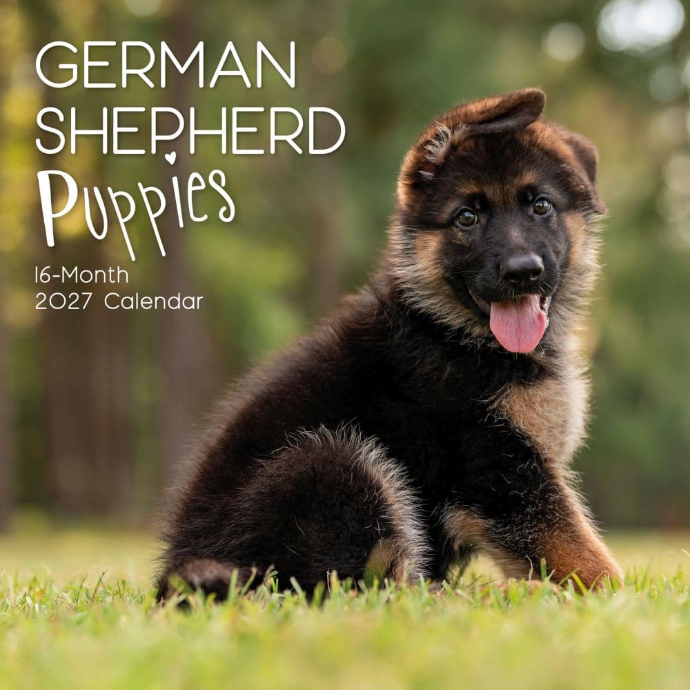 image German Shepherd Puppies 2027 Wall Calendar Main Product Image