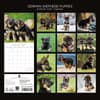 image German Shepherd Puppies 2027 Wall Calendar First Alternate Image