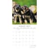 image German Shepherd Puppies 2027 Wall Calendar Second Alternate Image