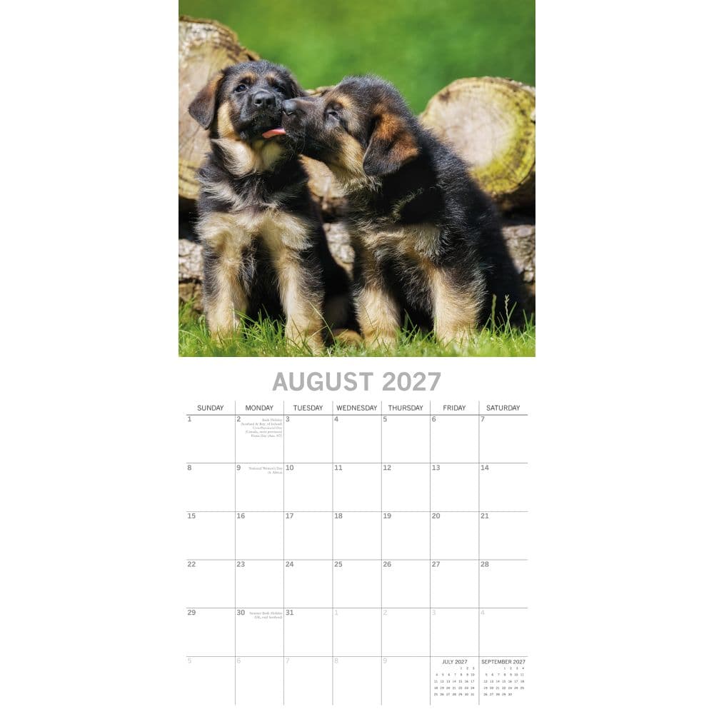 German Shepherd Puppies 2027 Wall Calendar Second Alternate Image