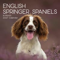 image English Springer Spaniels 2027 Wall Calendar Main Product Image