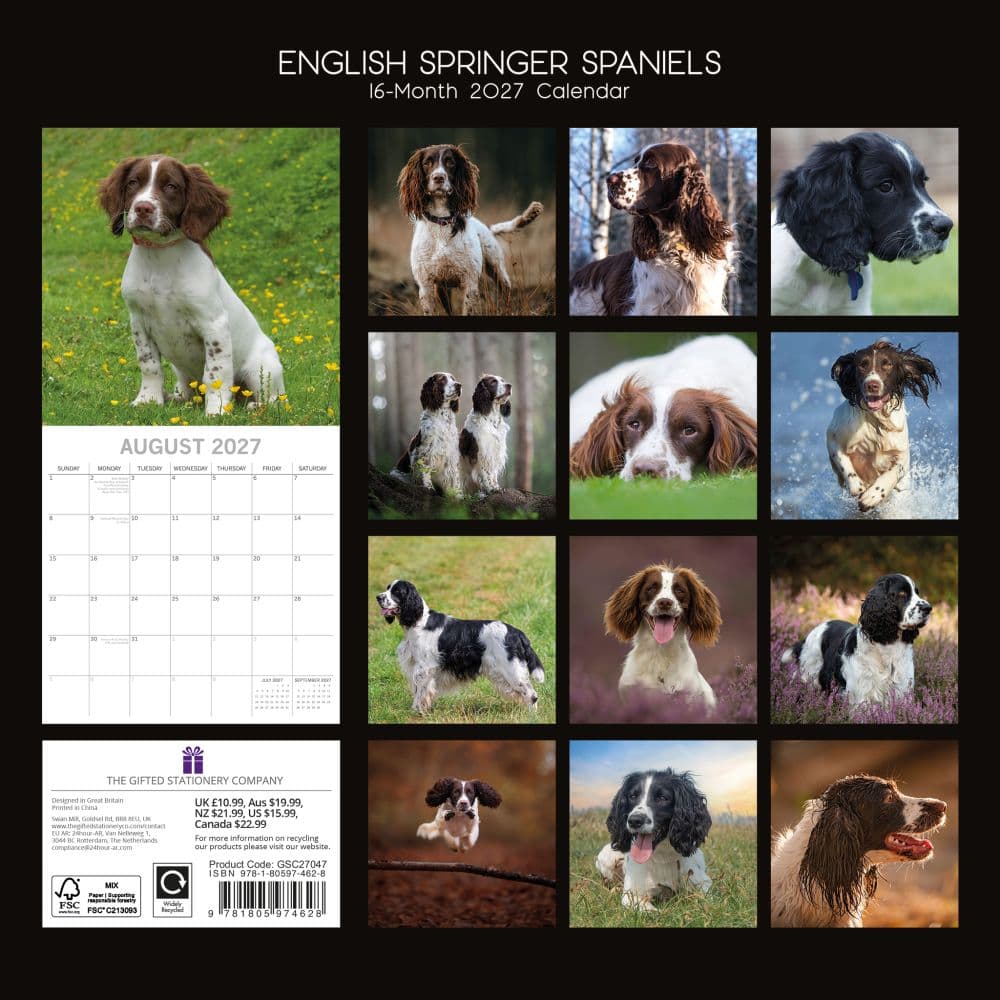 English Springer Spaniels 2027 Wall Calendar First Alternate Image