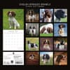 image English Springer Spaniels 2027 Wall Calendar First Alternate Image