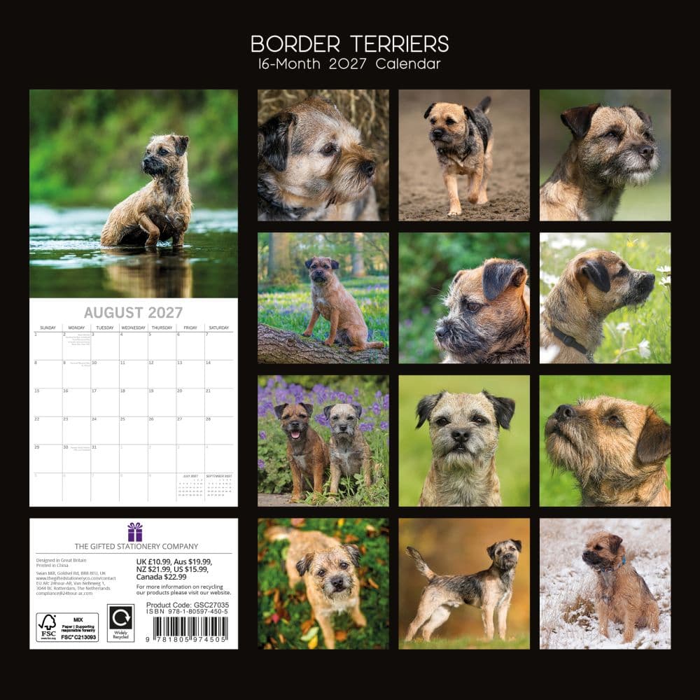 Border Terriers 2027 Wall Calendar First Alternate Image