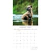 image Border Terriers 2027 Wall Calendar Second Alternate Image