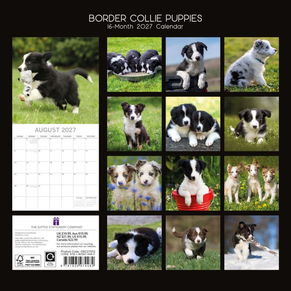 Border Collie Puppies 2027 Wall Calendar First Alternate Image
