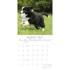 image Border Collie Puppies 2027 Wall Calendar Second Alternate Image