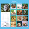image Nap Time 2027 Wall Calendar First Alternate Image