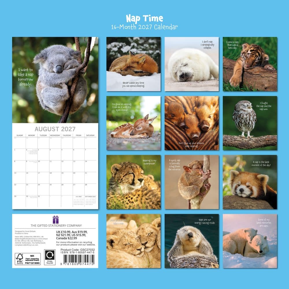 Nap Time 2027 Wall Calendar First Alternate Image