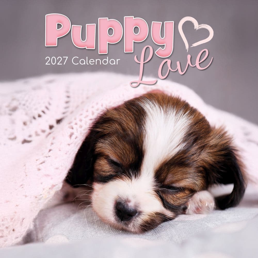 Puppy Love 2027 Wall Calendar Main Product Image