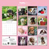 image Puppy Love 2027 Wall Calendar First Alternate Image