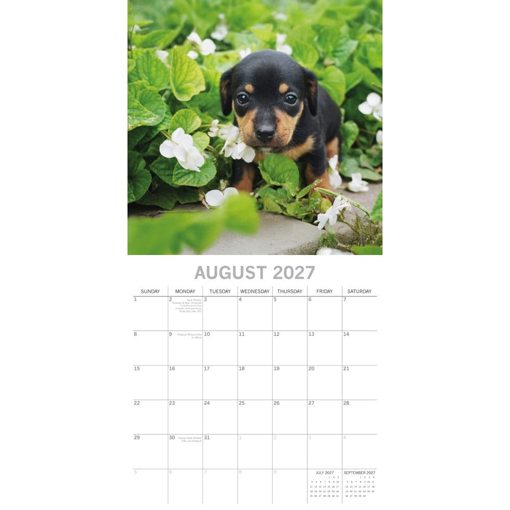 Puppy Love 2027 Wall Calendar Second Alternate Image