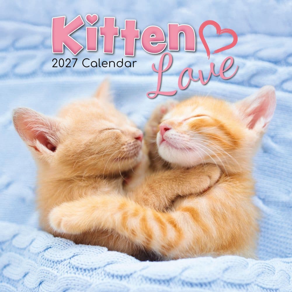 Kitten Love 2027 Wall Calendar Main Product Image